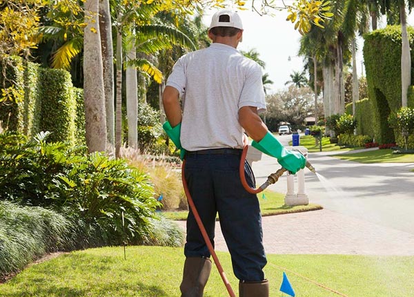 About Virginia IL Pest Control